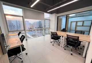 杭州观叶植物租赁服务商