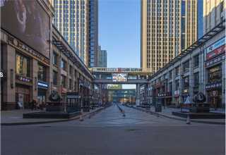 湖南考级推荐斫琴推荐吗